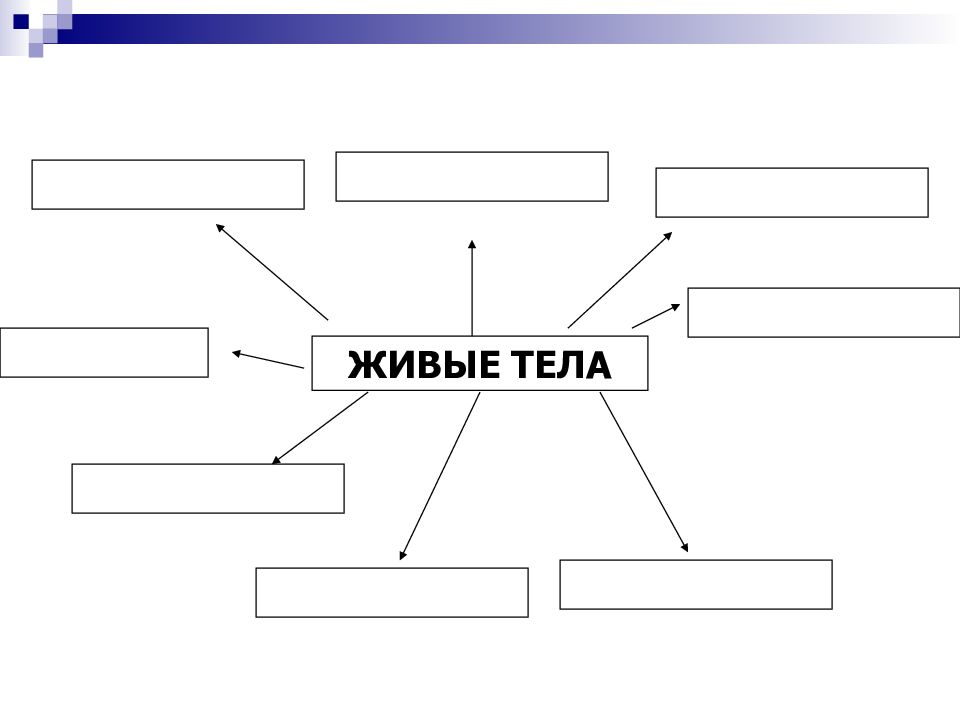 Схема свойства. Свойства живых организмов схема. Схемасвойсьва житвого. Свойства живых организмов 5 класс. Кластер свойства живых организмов.