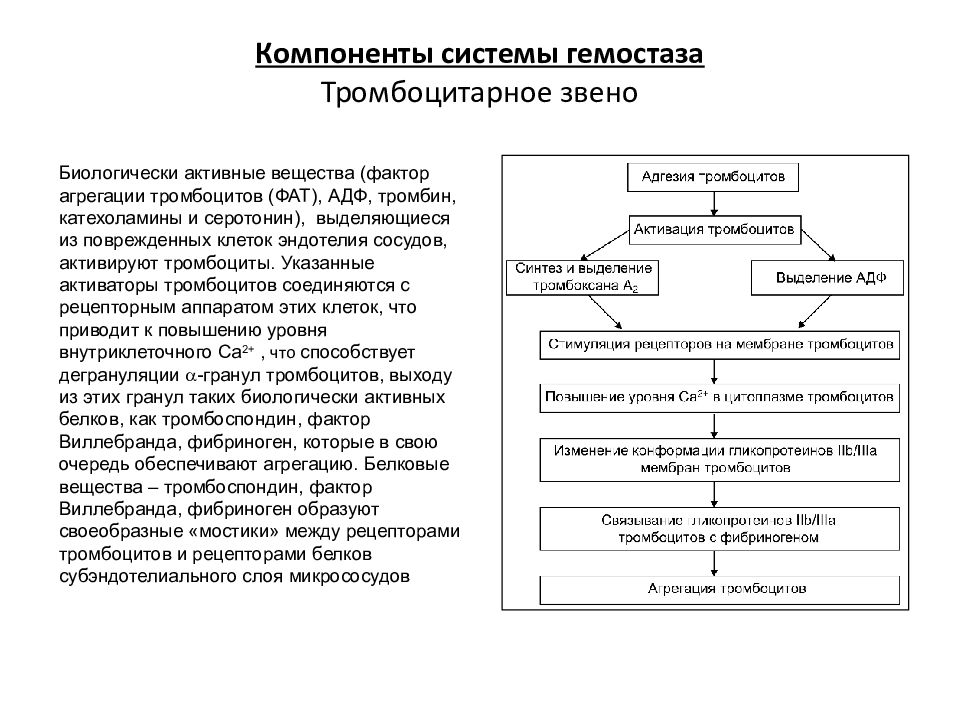 Фактор вещества