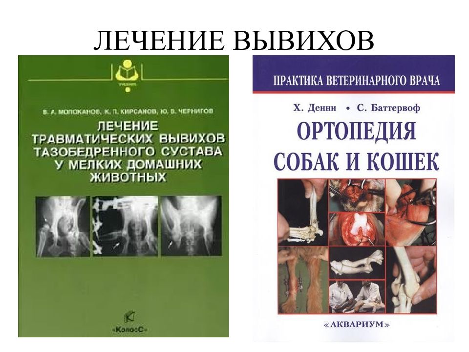 Суставы ран. Болезни суставов лекция. Лечение заболеваний суставов презентация. Лечение вывиха. Болезни суставов лекции по терапии.