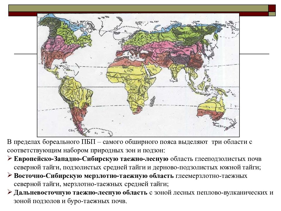 Географическое положение почв. Бореальная зона почвы. Бореальный почвенный пояс на карте. Почвы бореального пояса на карте. Зоны бореального пояса.