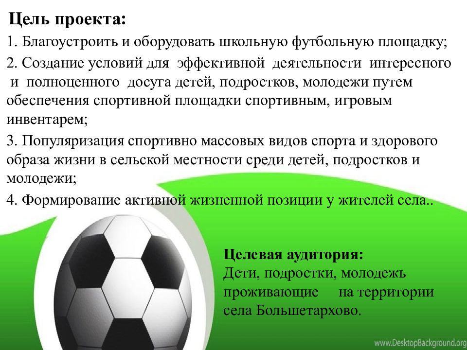 Индивидуальный проект футбол. Общественные футбольные проекты. Социальный проект футбольное поле. Популяризация спорта среди молодежи. Спортивное поле доклад.