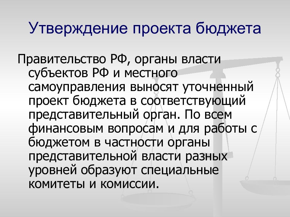 Представление проекта бюджета в представительный орган власти осуществляет