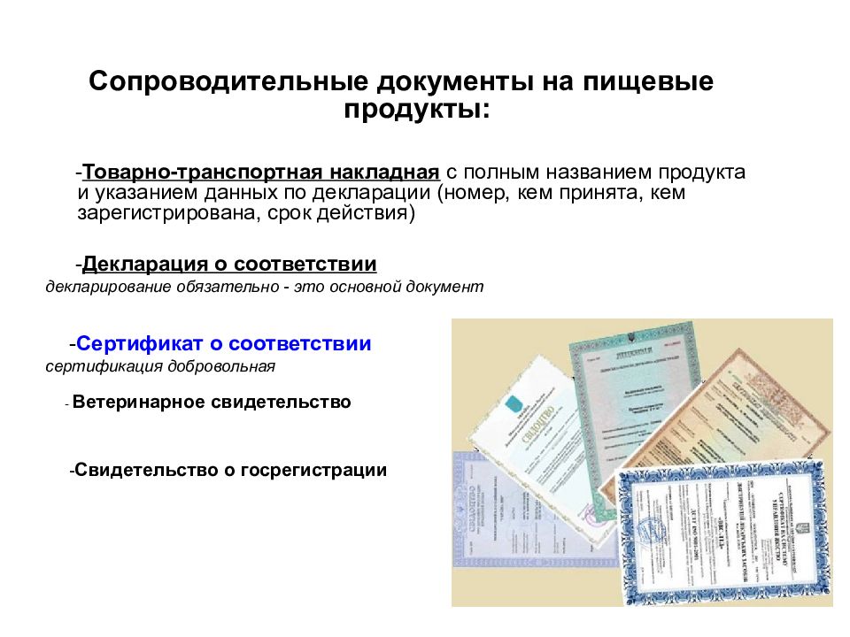 Образец сопроводительные документы на груз