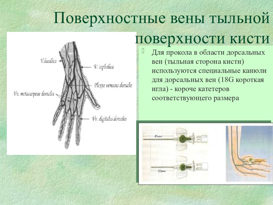 Вены кисти. Поверхностные вены кисти. Вена на тыльной поверхности кисти. Поверхностные вены тыльной поверхности кисти.