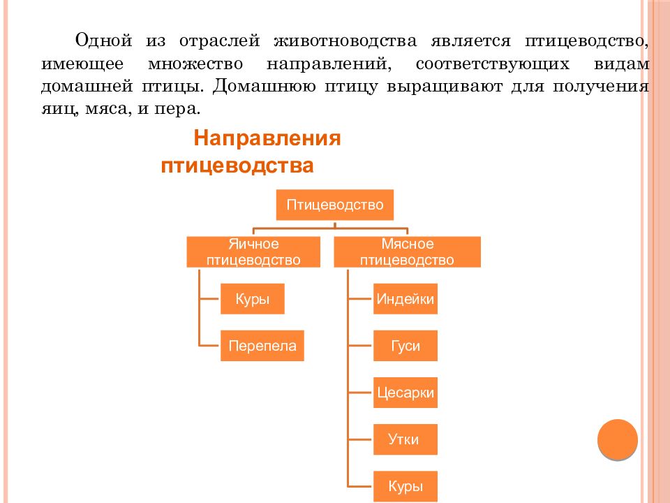 Животноводство 5 класс технология презентация