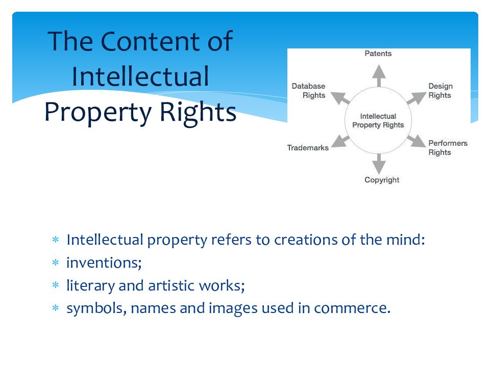 The Content of Intellectual Property Rights