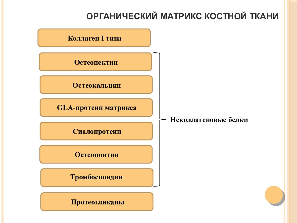 Биохимия костной ткани презентация