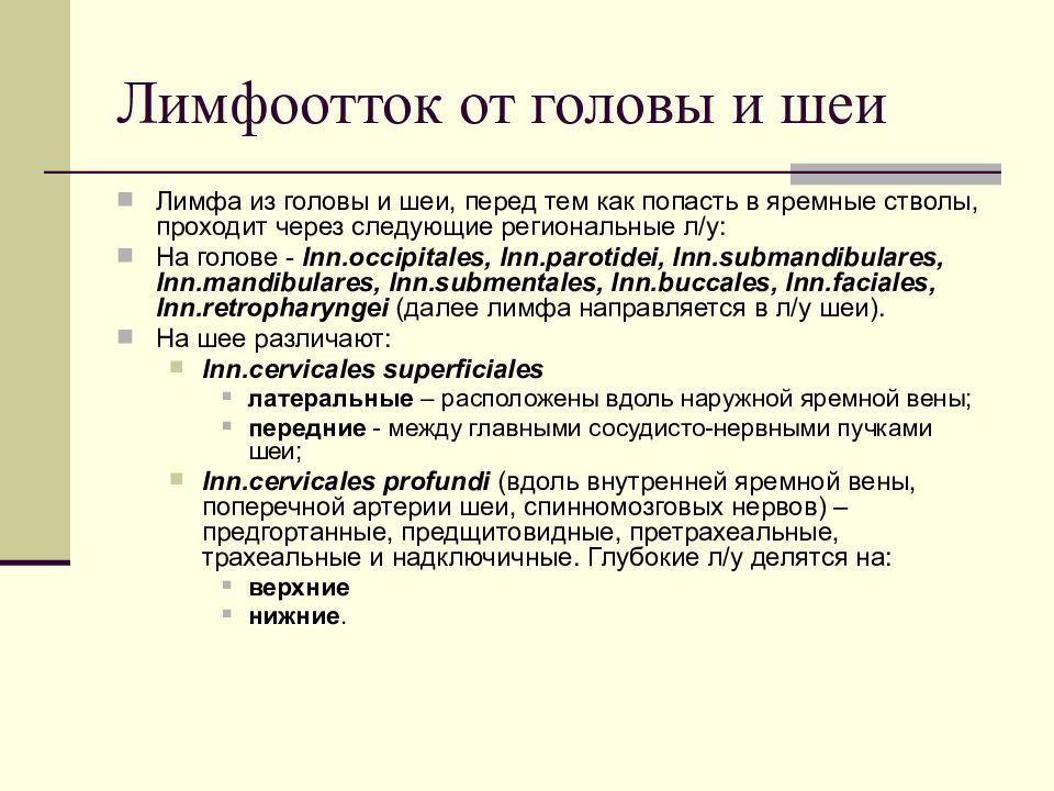 Лимфоотток головы и шеи схема