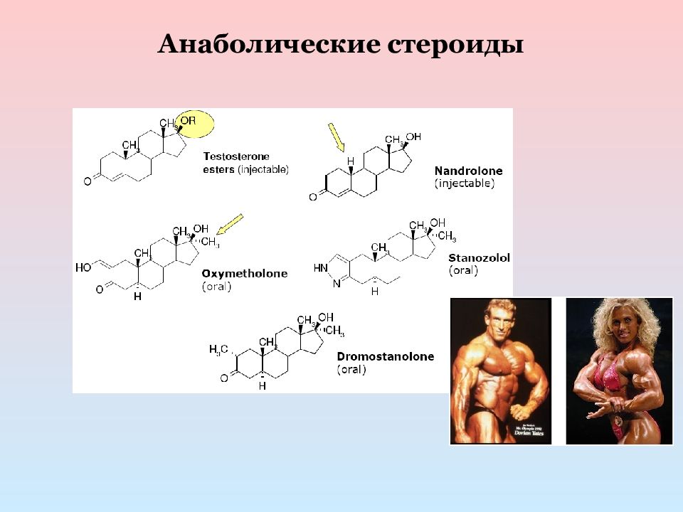 Презентация анаболические стероиды