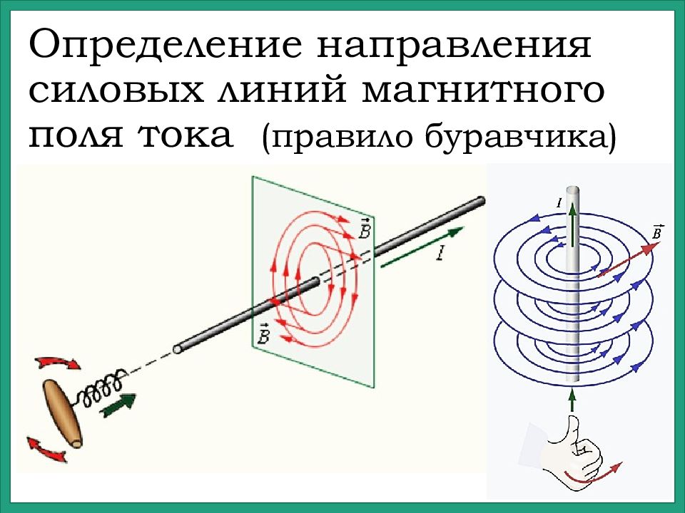 Укажите правильный вариант изображения линий магнитной индукции проводника с током