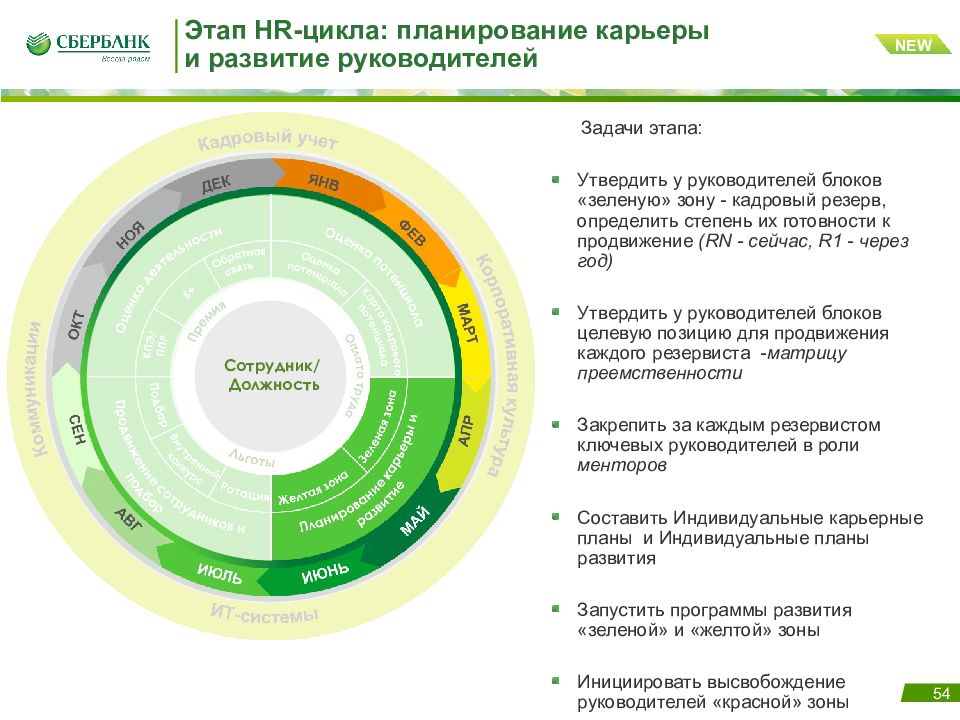 Развитие руководства. HR планы развития. Зоны развития руководителя. Области для развития руководителя. Программа развития руководителей.