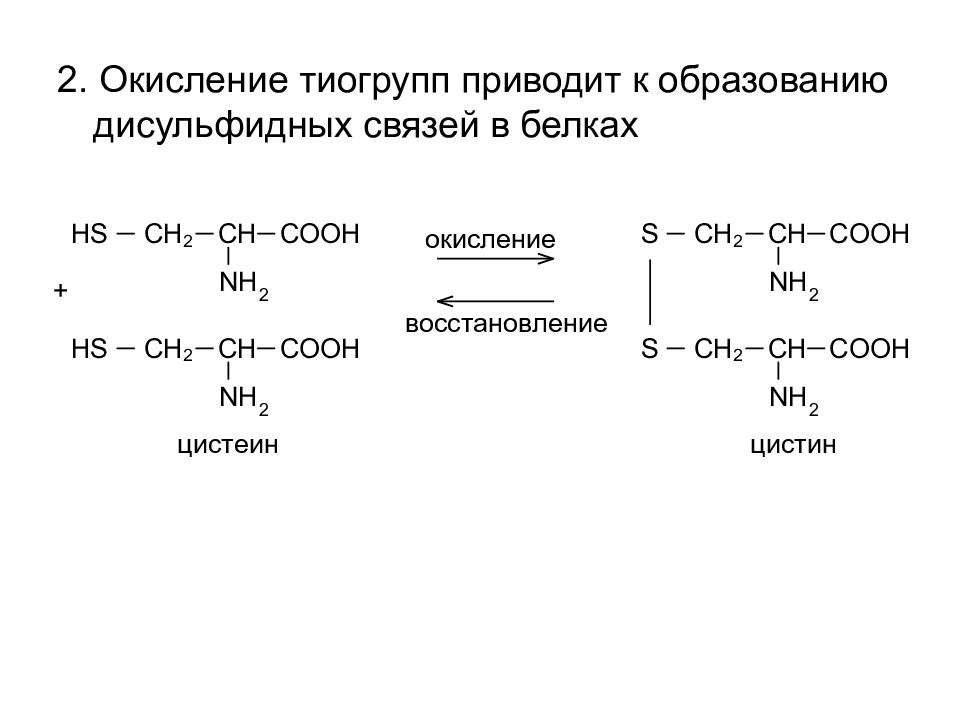 Окисление белков. Окисление тиогрупп. Какая аминокислота образует дисульфидную связь?. Восстановление дисульфидных связей в белках. Аминокислоты с sh группой.