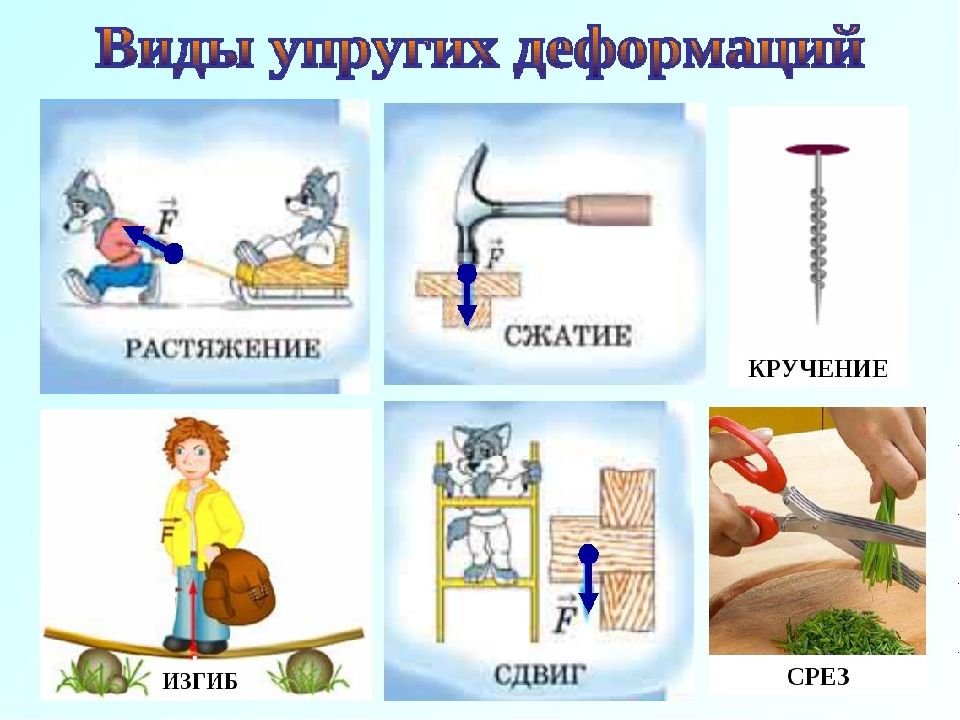 Сила упругости 7 класс физика презентация