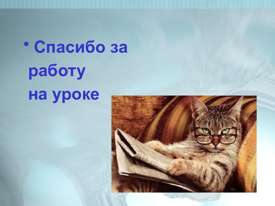 Животные урок урок 7 класс. Спасибо за работу на уроке. Спасибо за урок животные. Спасибо за урок котик. Спасибо за работу кот.