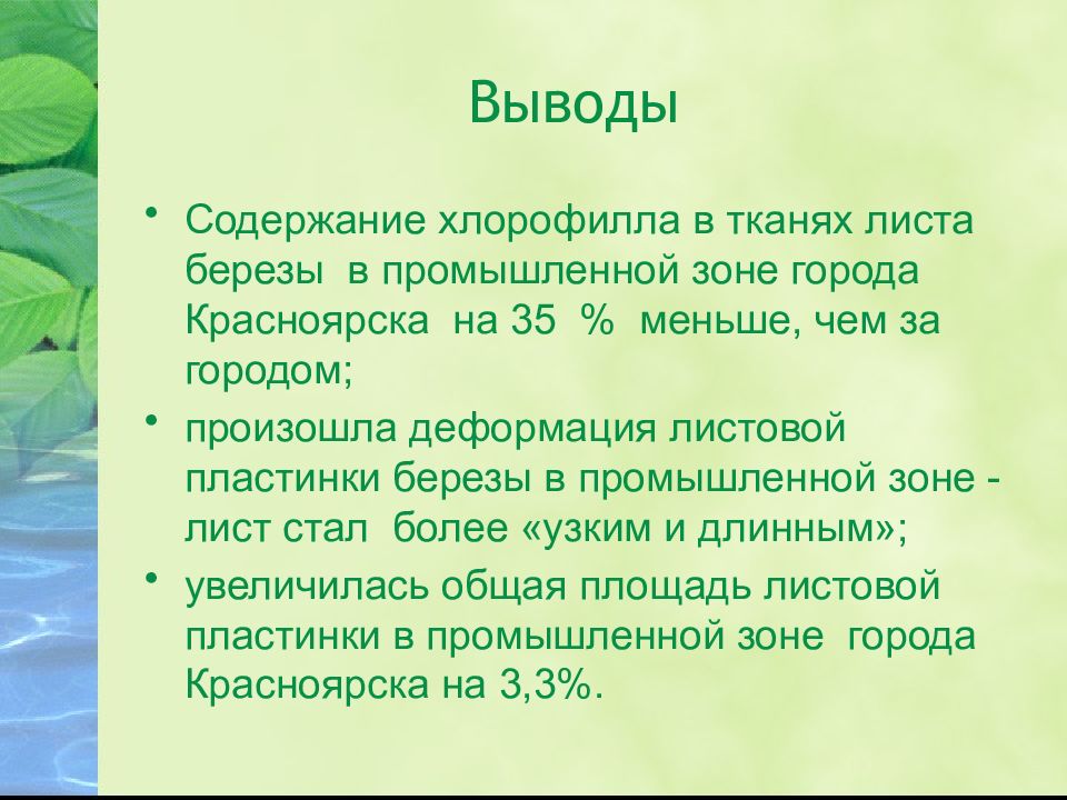 Вывод содержание. Лист березы выводы. Омыление хлорофилла. Содержание хлорофилла. Вывод о Березе.