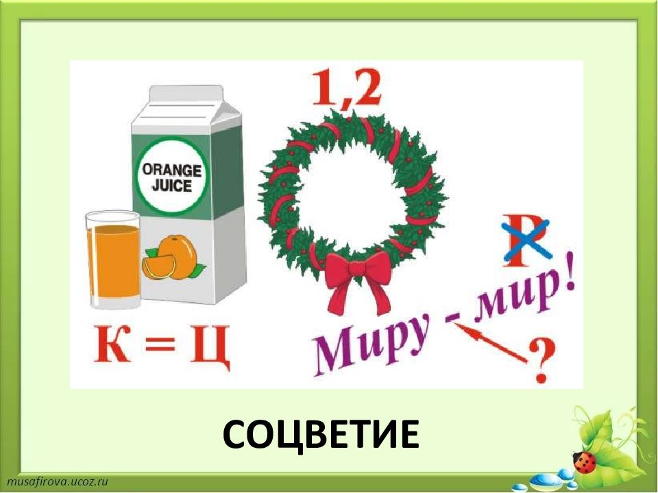 Игра по биологии 11 класс презентация