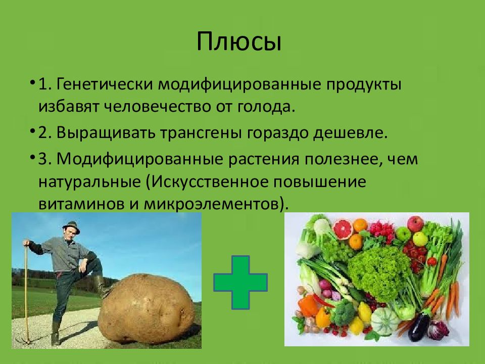 Презентация трансгенные продукты