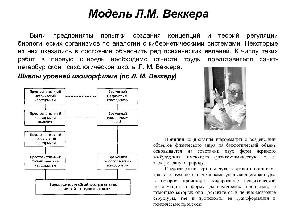 Процесс л. Психические процессы по Веккеру. Веккер Познавательные процессы. Классификация психических процессов по Веккеру. Единая теория психических процессов Веккера.