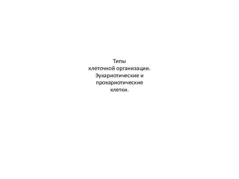 Типы клеточной организации. Эукариотические и прокариотические клетки.