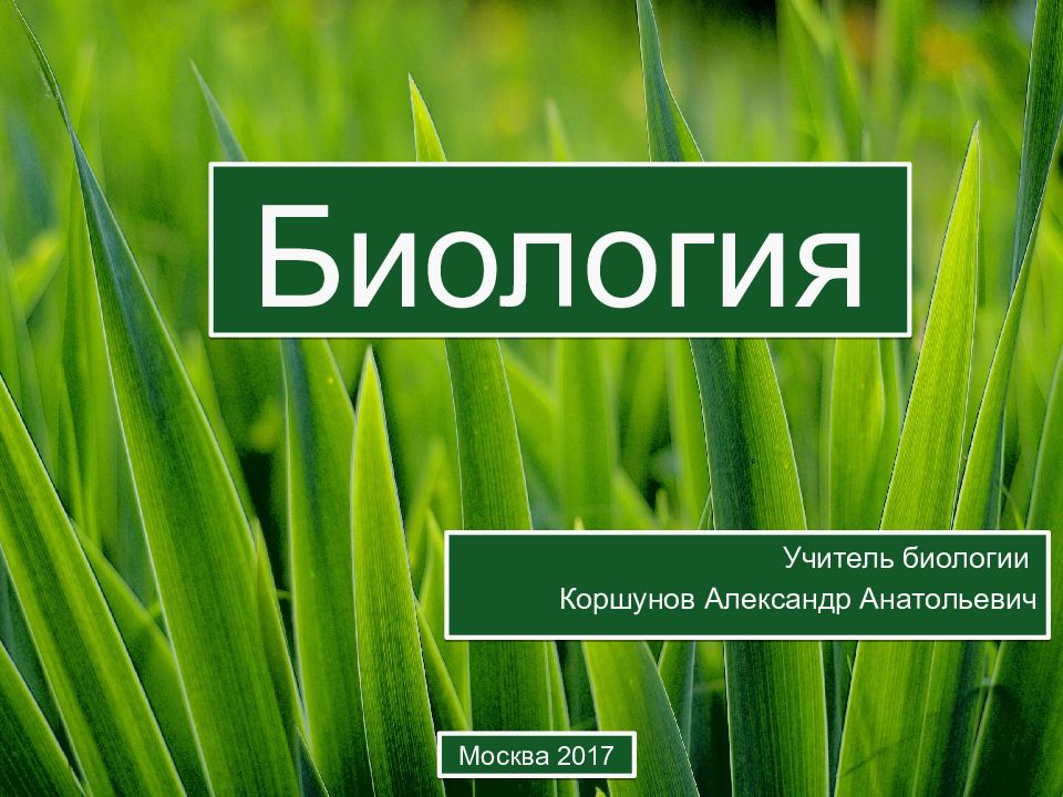 Биология
