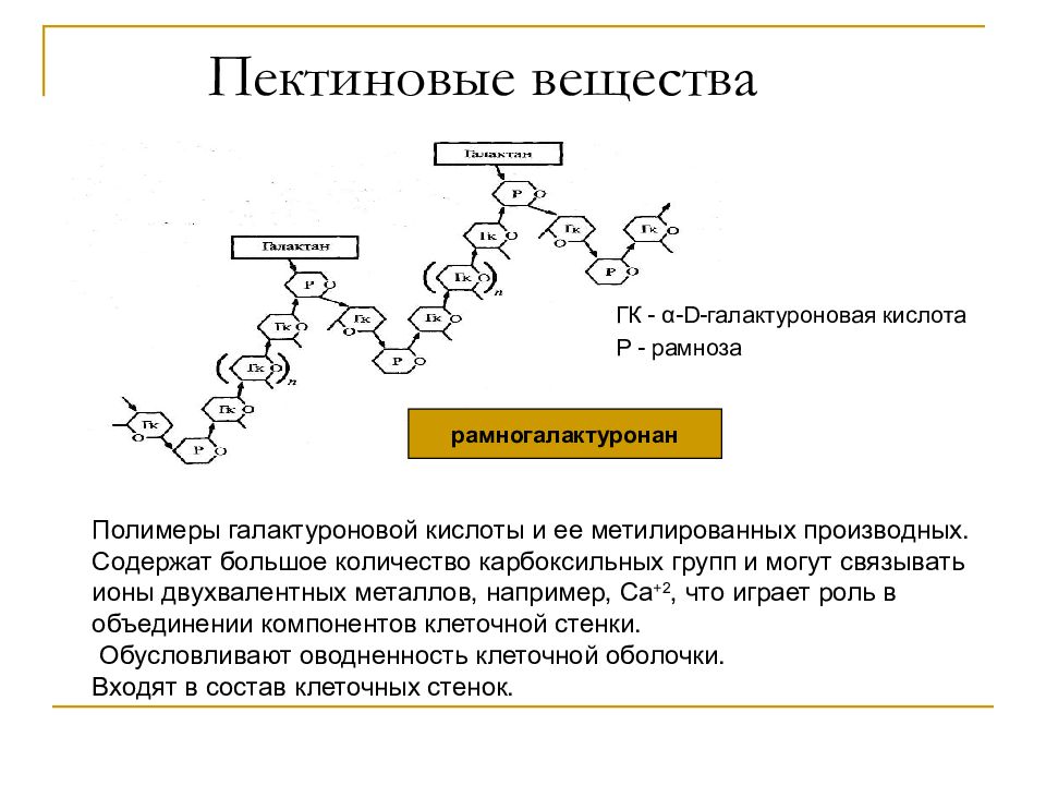 Вещества кислоты. Галактуроновой кислоты биологическая роль. Пектиновые вещества структура. Пектины полигалактуроновая кислота. Пектиновые вещества строение.