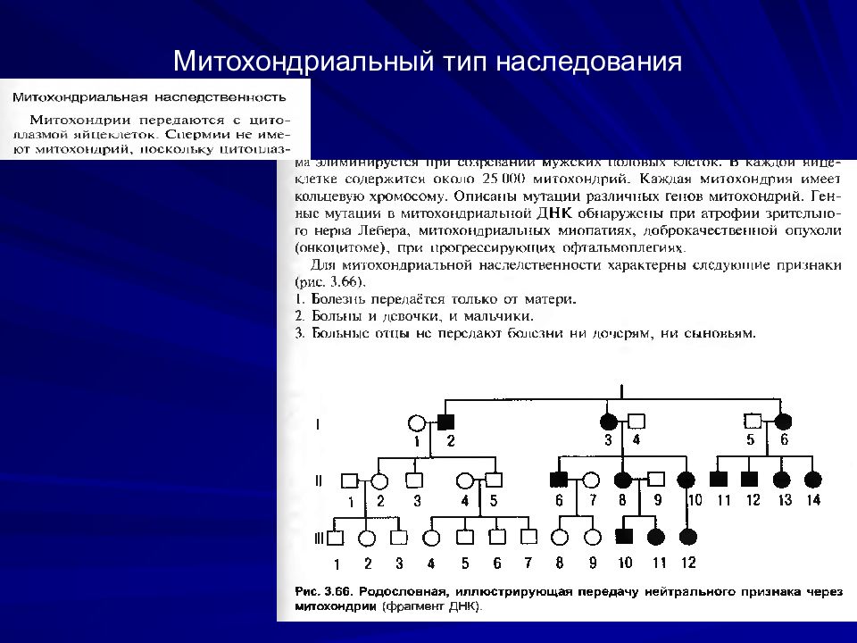 Генные заболевания по типу наследования схема