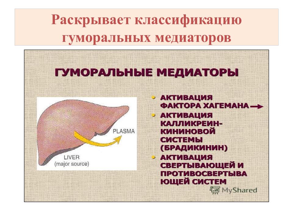 Раскройте классификацию. Гуморальные медиаторы. Гуморальные медиаторы воспаления. Классификация гуморальных факторов. Гуморальные и нервные факторы воспаления.