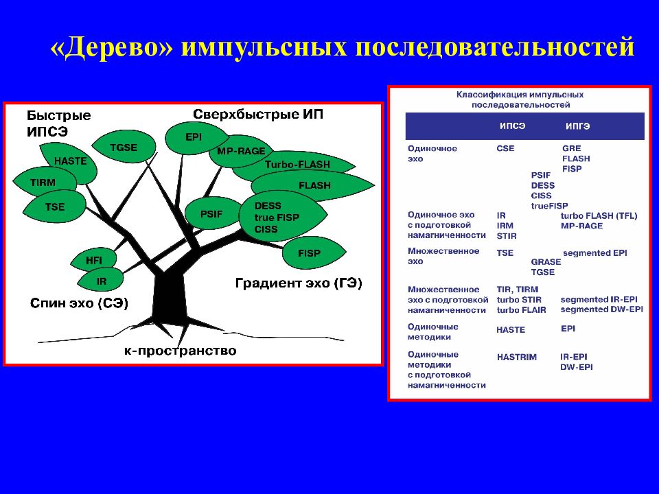 Последовательность дерево. Мрт последовательности. Основные импульсные последовательности мрт. Импульсные режимы мрт. Дерево импульсного.