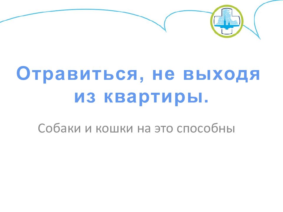 Собаки и кошки на это способны Отравиться, не выходя из квартиры.