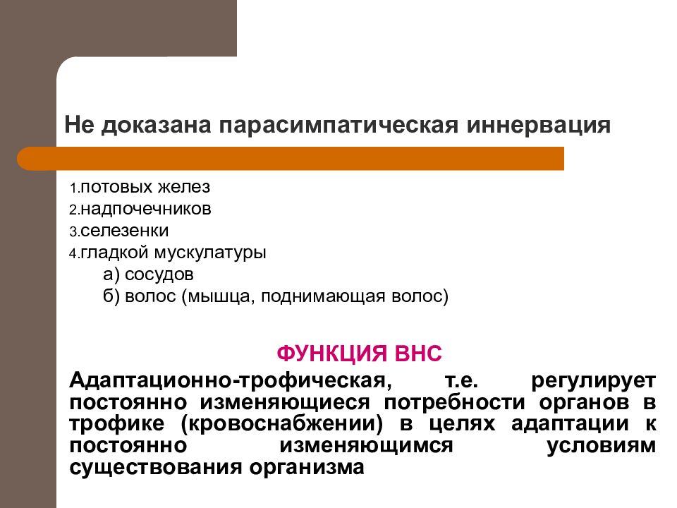 Функциональная анатомия вегетативной нервной системы презентация