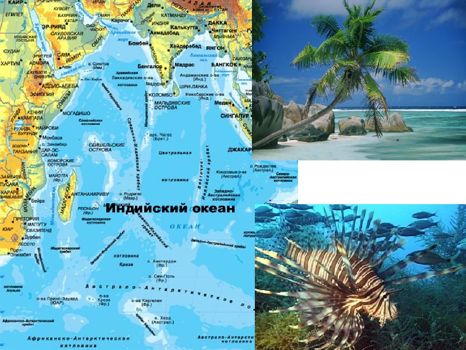 Таблицу индийского океана 7 класс. Рисунок на тему индийский океан. Маршрут мирового океана. Стенды по географии индийский океан. Центры туризма индийского океана.
