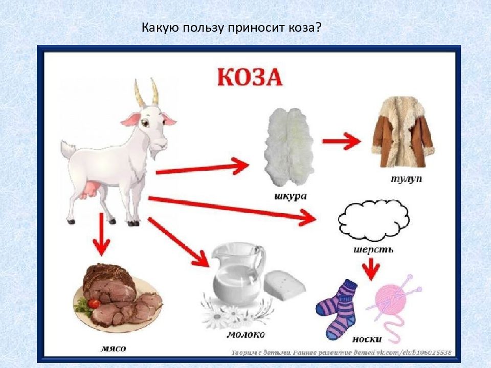 Польза домашних животных для человека проект