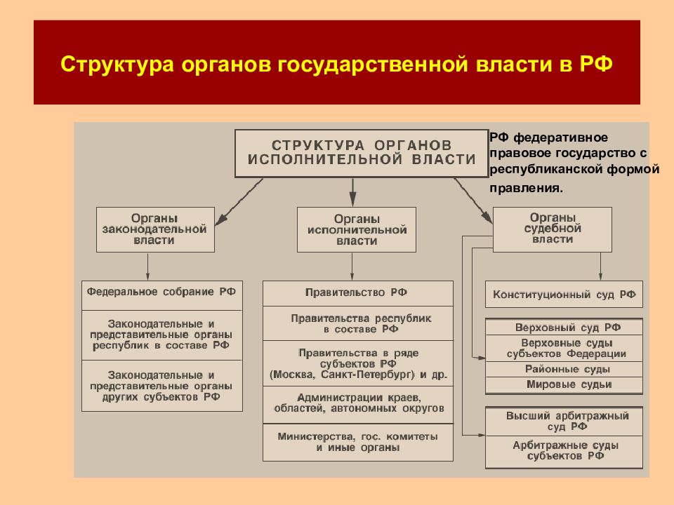 Высшие органы государственной власти в рф план егэ