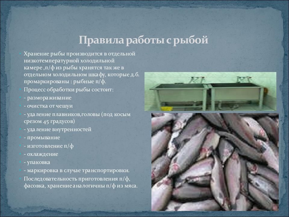 Организация обработки рыбы. Инвентарь и оборудование рыб. Инвентарь для полуфабрикатов из рыбы. Оборудования используемые для приготовления полуфабрикатов из рыбы. Организация работы рыбного цеха.