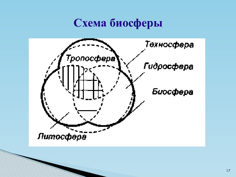 Биосфера земли схема. Биосфера схема. Биосфера Сема. Опорная схема биосферы.