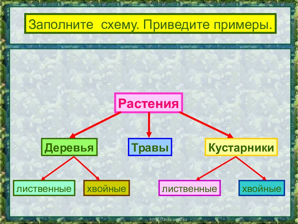 Какие бывают растения 2. Приведите примеры растений деревья кустарники травы. Схема растения деревья кустарники травы. Привести примеры растений деревья кустарники травы. Растения деревья кустарники травы хвойные и лиственные.