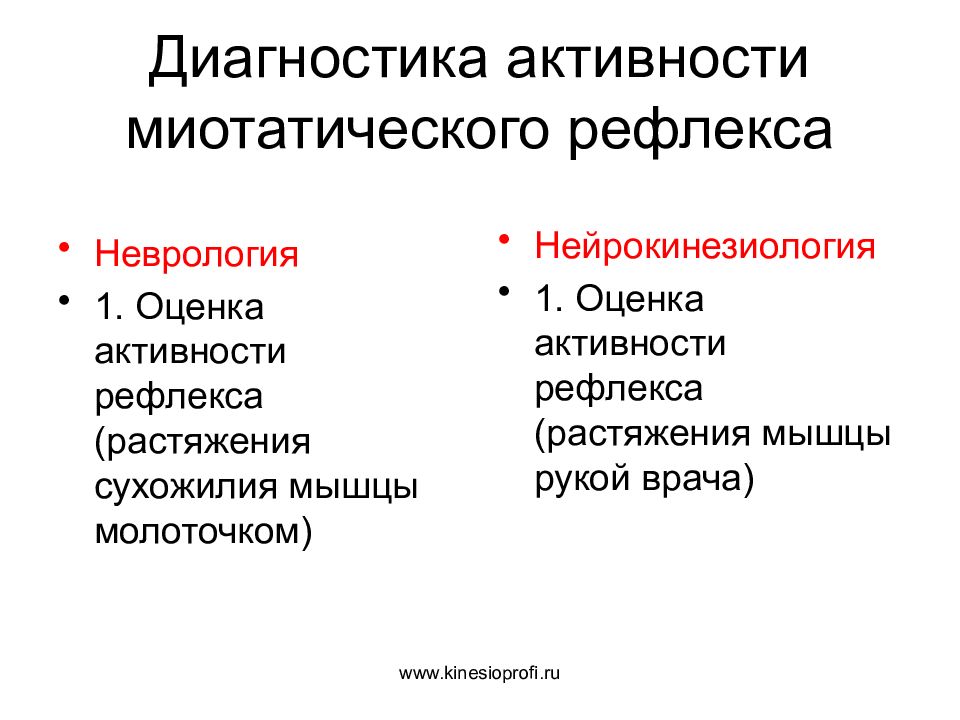 Диагностика активности. Оценка миотатического рефлекса. Нейрокинезиология. Кинезиология , нейрокенизиология. Миотатический рефлекс кинезиология.