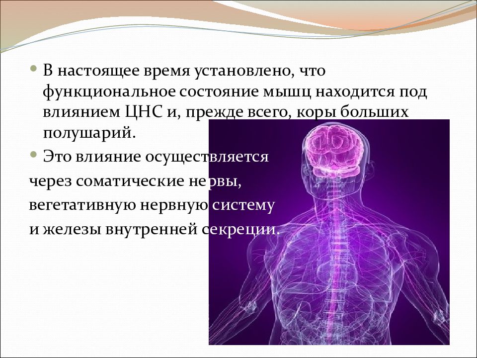 Влияние нервной системы. Функциональное состояние мышц. Физиология мышц презентация. Физиология мышечной системы кратко. Физиология мышц презентация презентация.