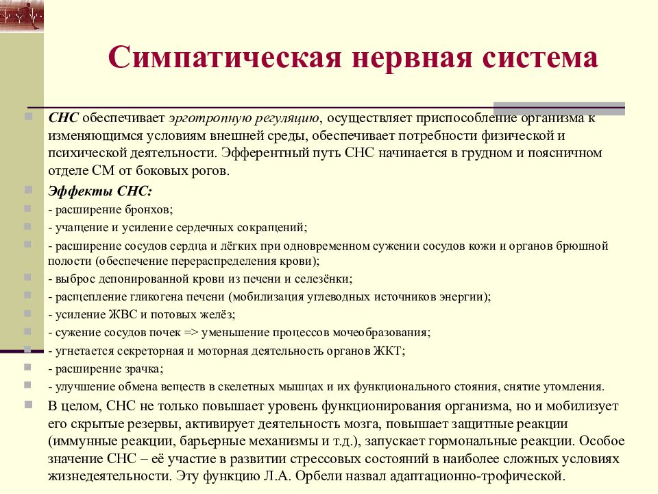 Анатомо физиологические основы мышечной деятельности презентация