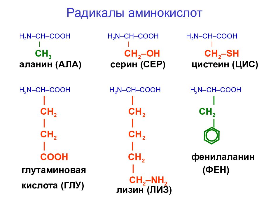 Какие функциональные группы аминокислот. Функциональные группы аминокислот таблица. Классификация радикалов аминокислот. Алифатические гидрофобные аминокислоты.