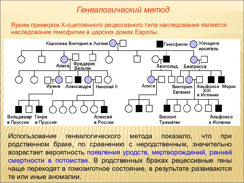 Изучение наследования признаков по родословной проект 10 класс