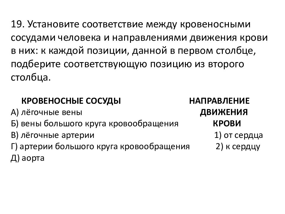 Установите соответствие между кровеносными сосудами. Кровеносная система презентация.