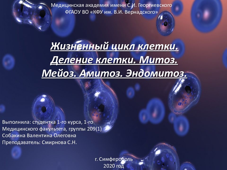Жизненный цикл клетки. Деление клетки. Митоз. Мейоз. Амитоз