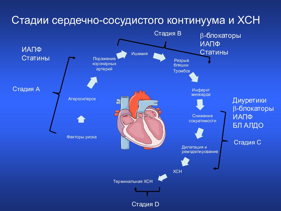 Хсн презентация. Стадии хронической сердечной недостаточности. ХСН стадии. Степени сердечной недостаточности. Хроническая сердечная недостаточность степени.