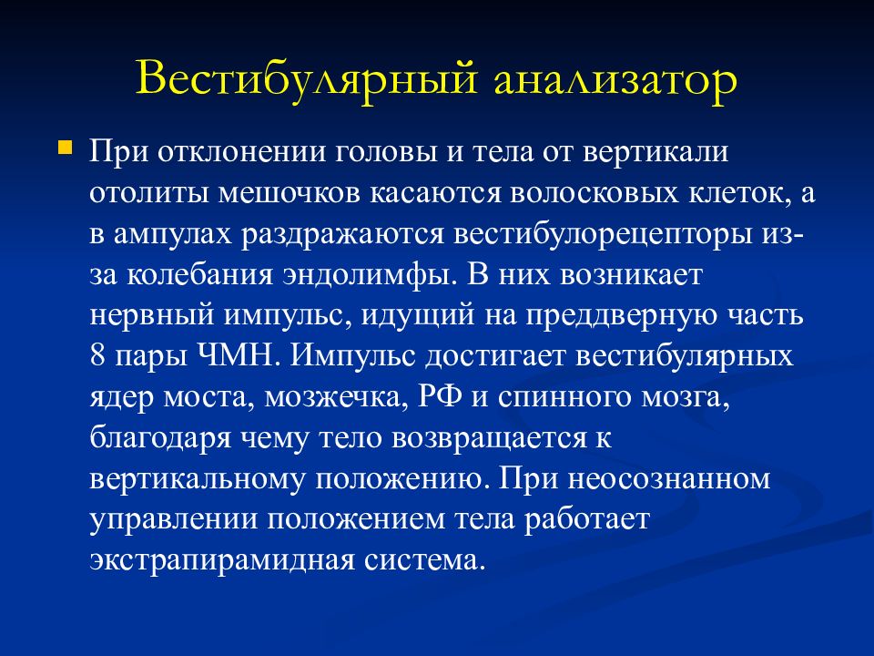 Вестибулярный анализатор. Вестибулярный анализатор физиология. Функции вестибулярного анализатора. Вестибулорецепторы. Вестибулярный анализатор отолиты.