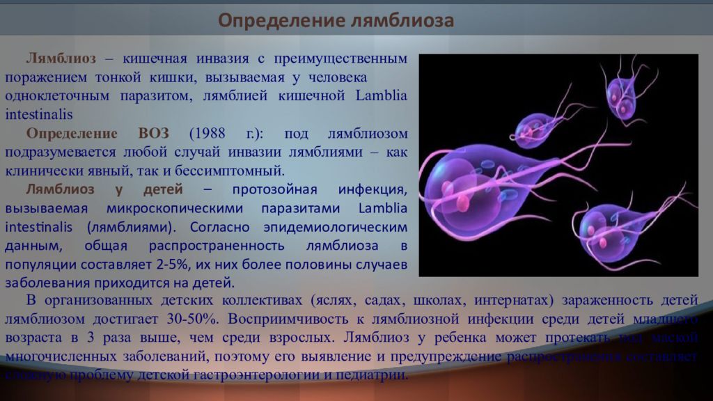 Инвазия что это. Возбудители протозойных кишечных инвазий лямблиоз. Протозойные кишечные инфекции лямблиоз. Вызываемое заболевание лямблии. Выявление лямблиоза у детей.