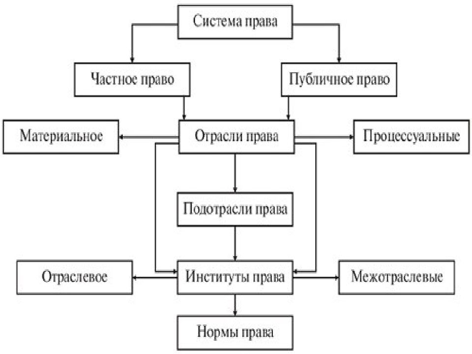 Заполните пропуски в схеме отрасли права