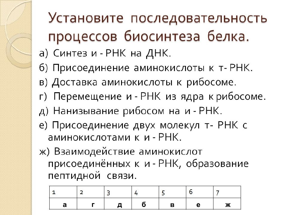 Презентация процессы синтеза в живых клетках