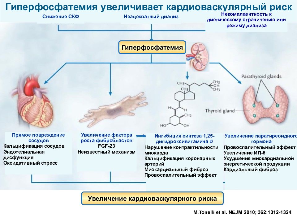 Вторичный гиперпаратиреоз презентация