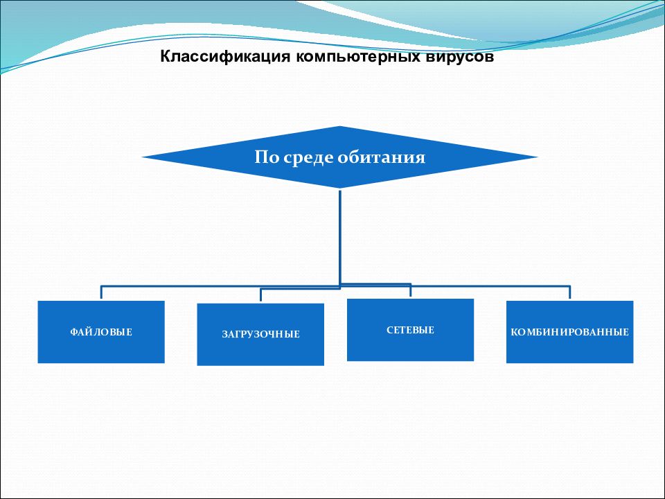 Схема компьютерных вирусов